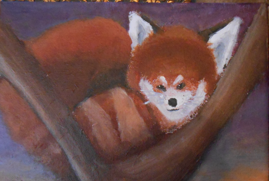 Red Panda Painting